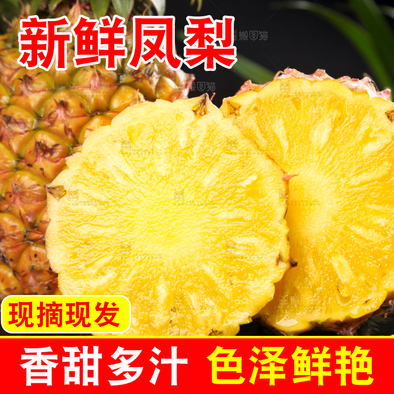 黑石板上的金钻凤梨