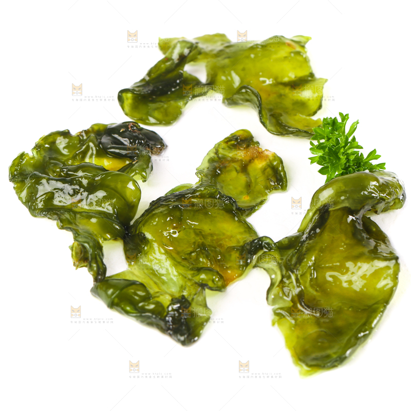 白底上的地皮菜