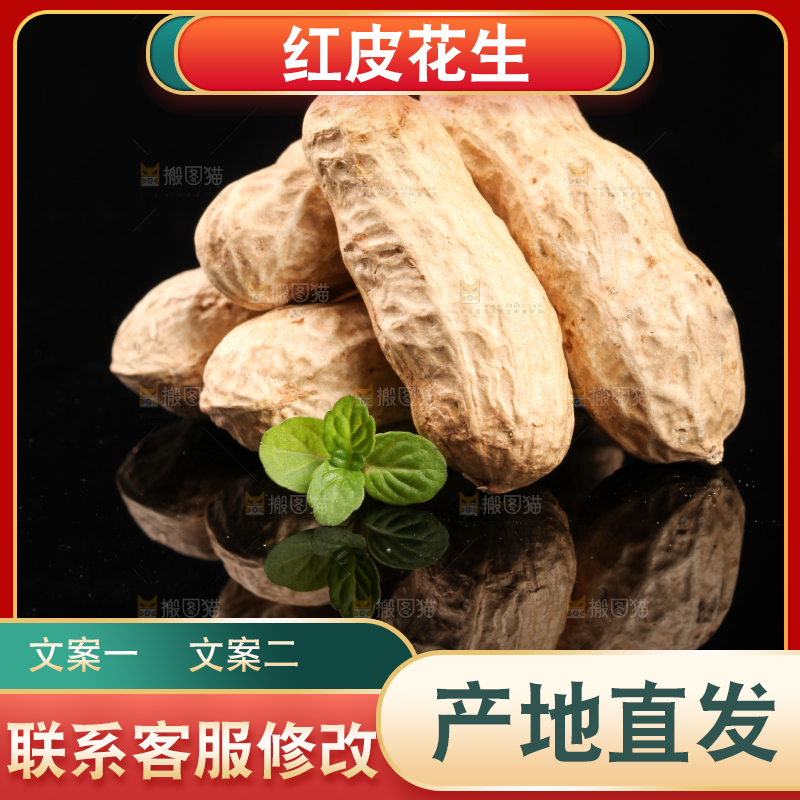 东北红皮花生放在黑底上