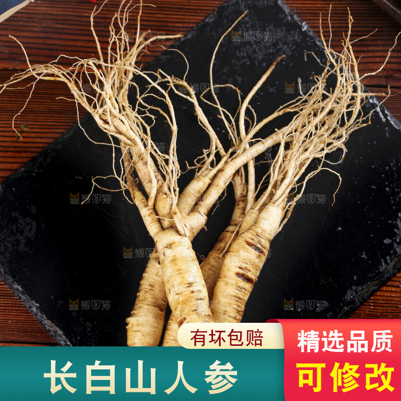 黑石板上的东北长白山人参