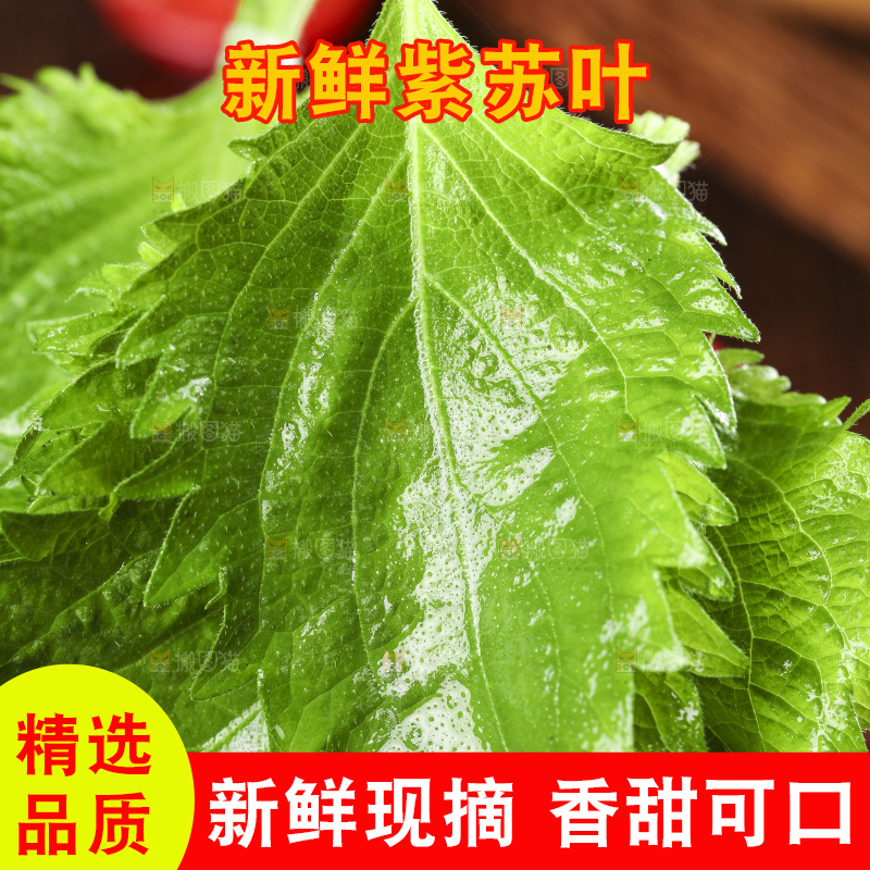 木底上的新鲜紫苏叶