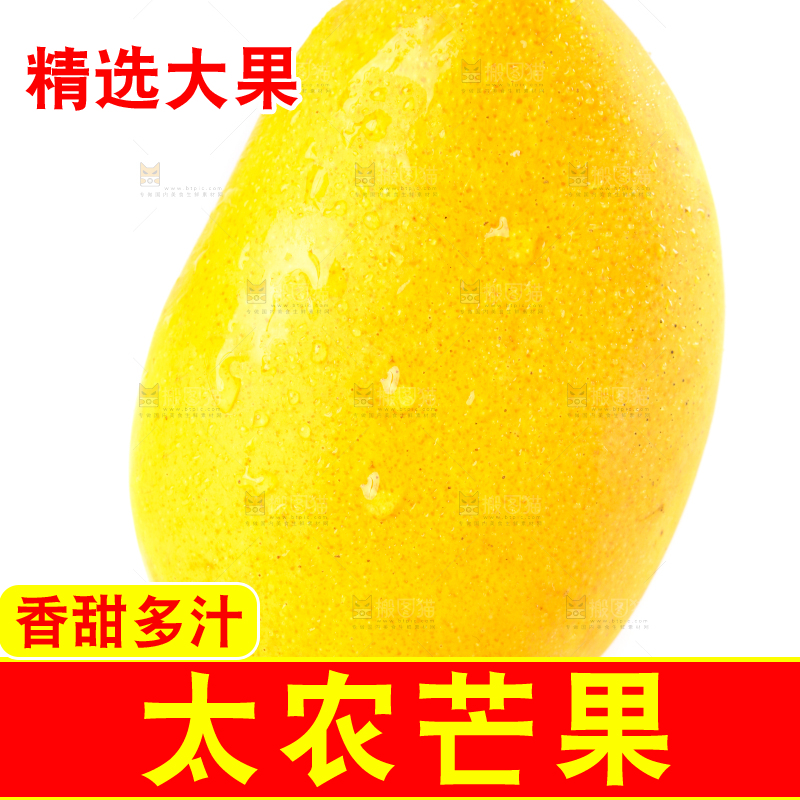 白底上的芒果