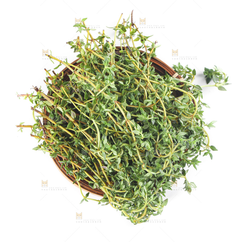 一盘麝香草放在白底上
