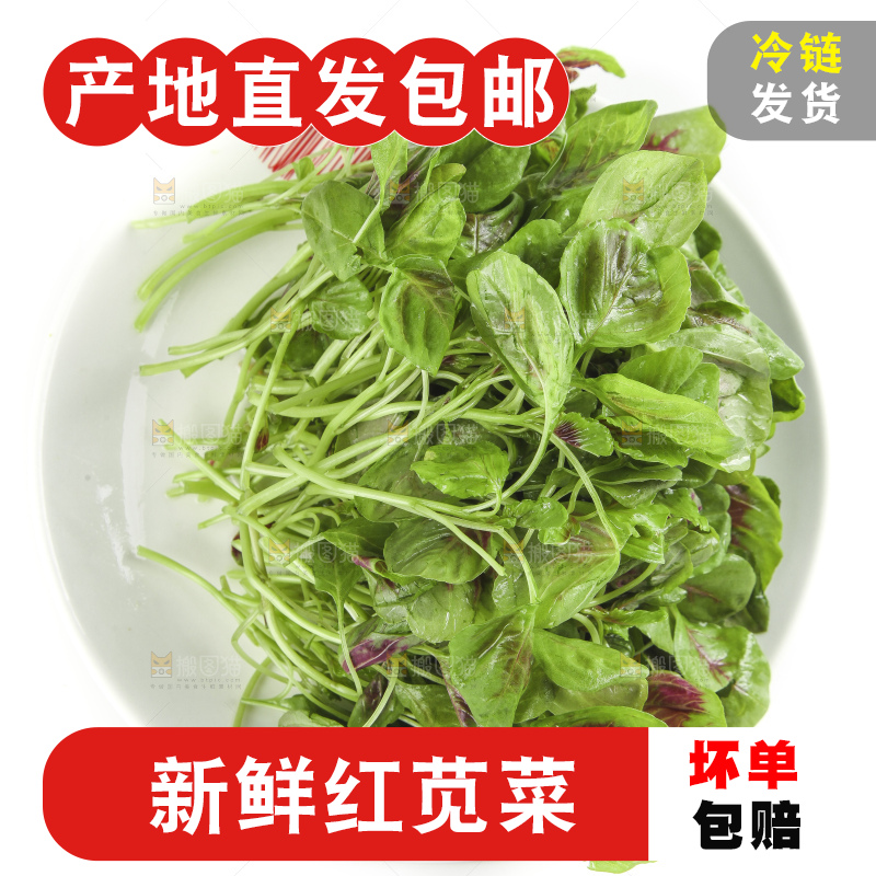 白底上放着一盘红苋菜