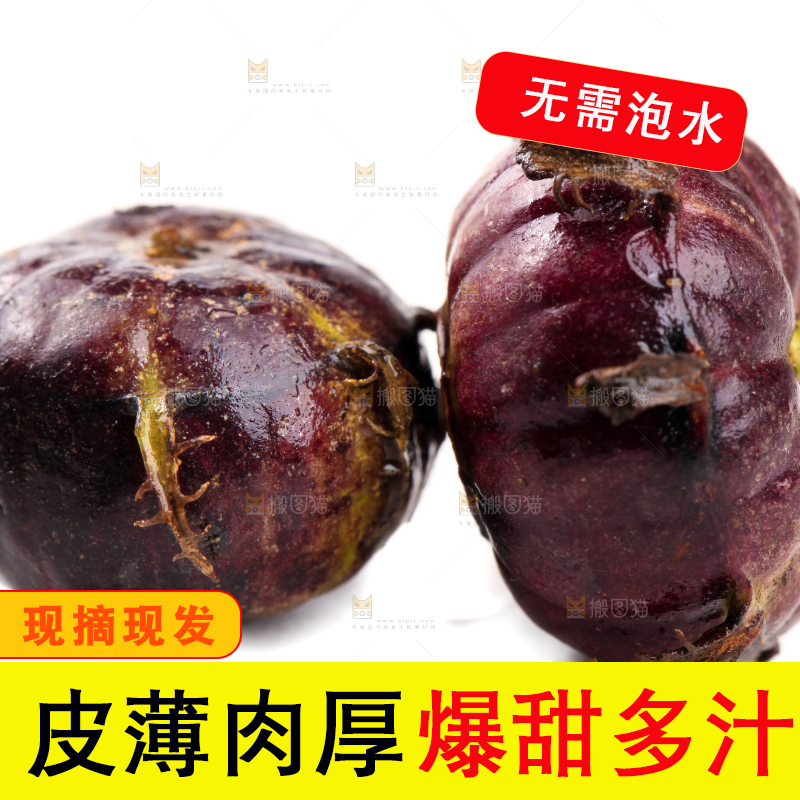白底上的红果参