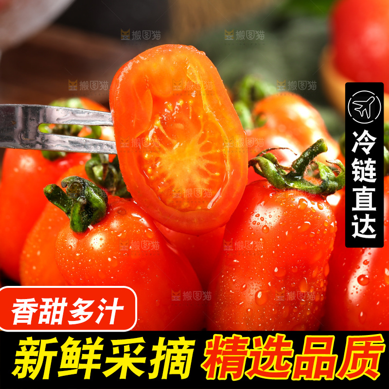 篮子里装着花生小柿子