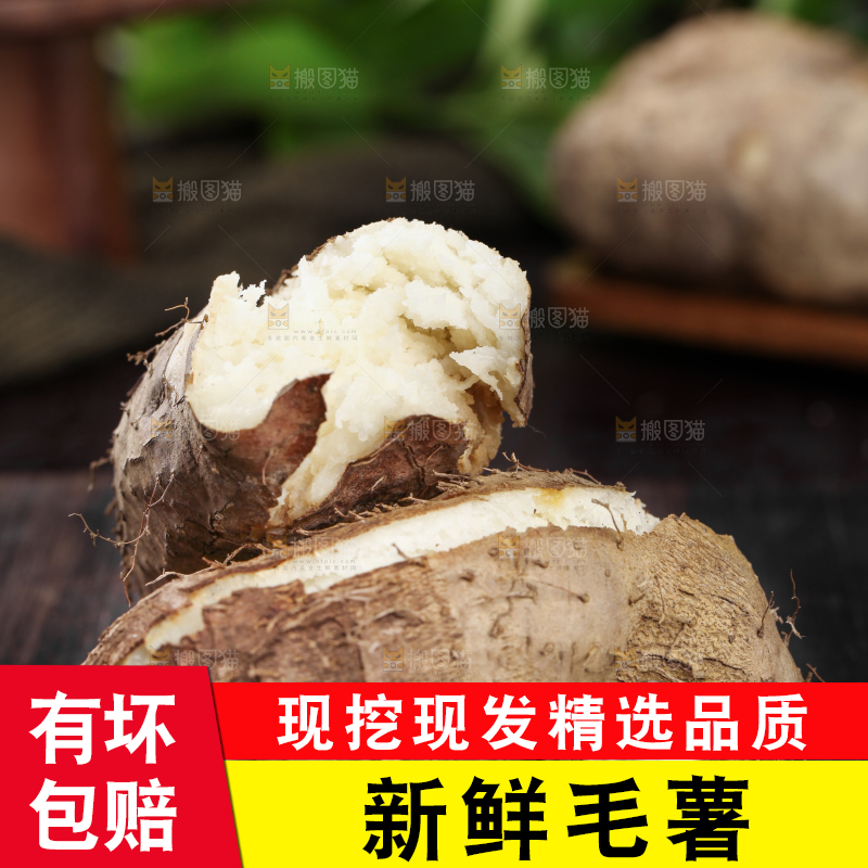 深底上放着熟的广东毛薯
