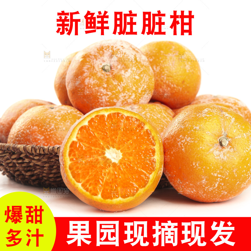 白底上放着一筐广西武鸣茂谷柑