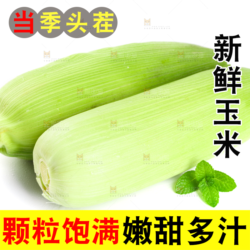 白底上放着黄玉米