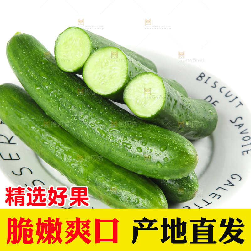 盘子里的无刺小黄瓜