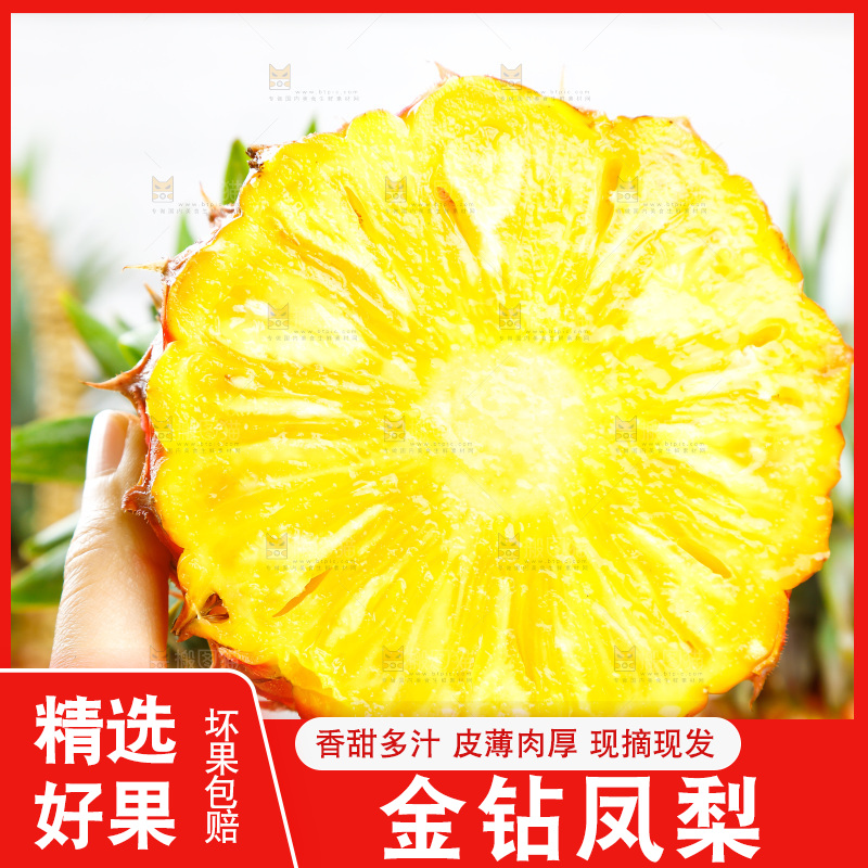 手里拿着新鲜凤梨
