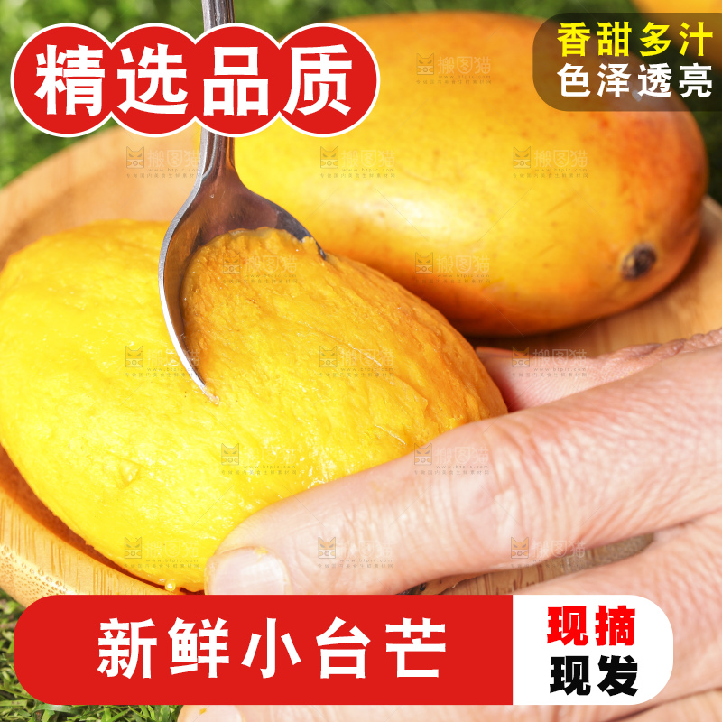 浅底上的小台芒