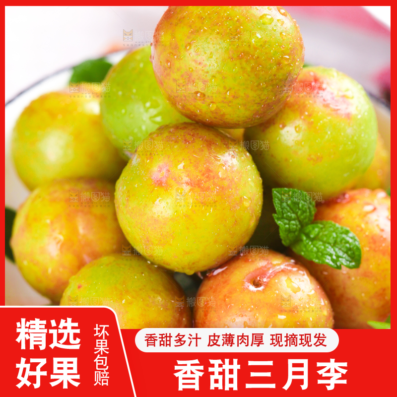 碗里装着钱排三月李