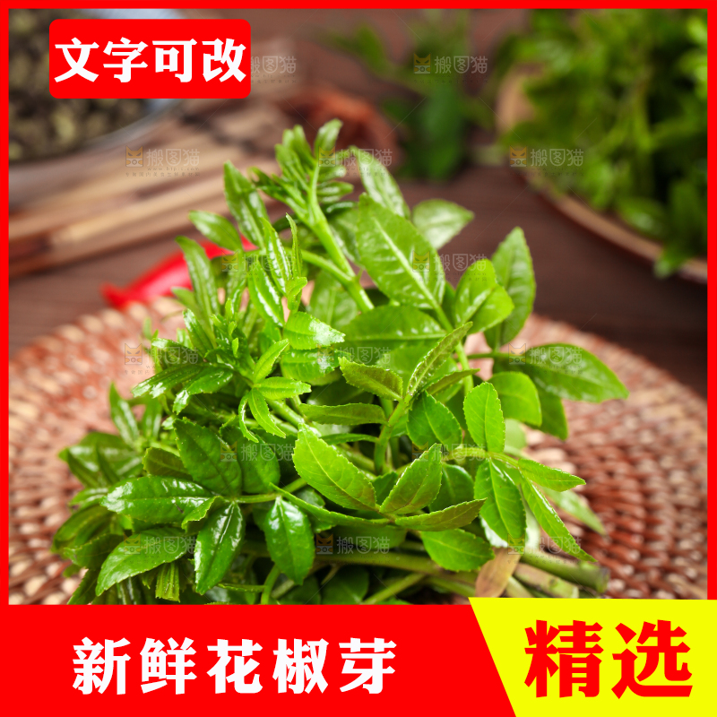 木底上的麻香花椒芽