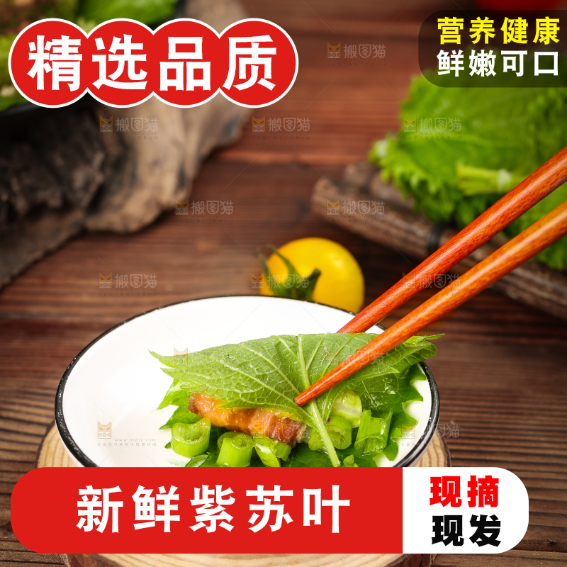 筷子夹着紫苏