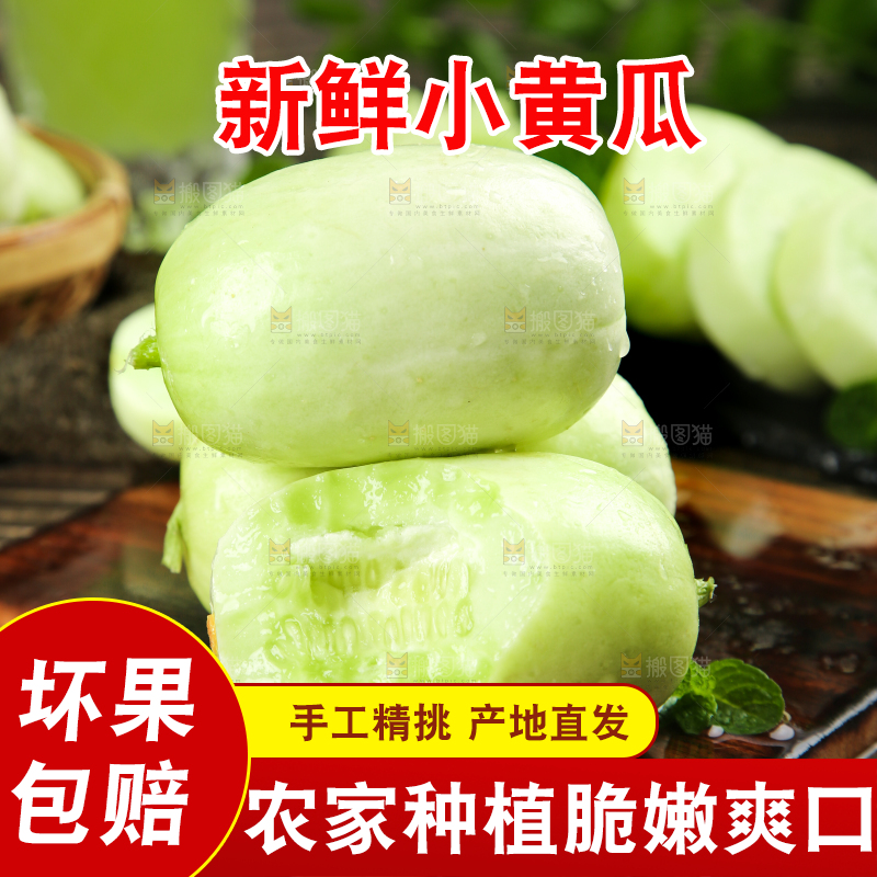 木底上的玉女小黄瓜