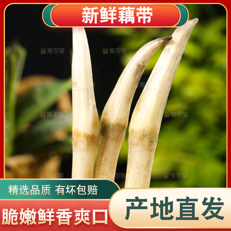 荷叶上放着洪湖藕带