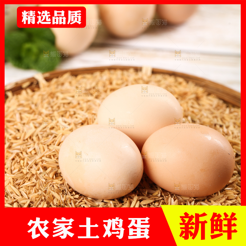 盘子里的散养土鸡蛋