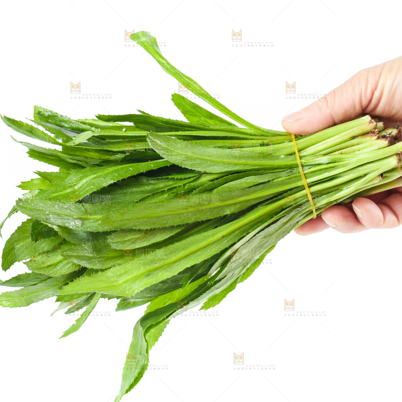 手拿一捆云南大香菜
