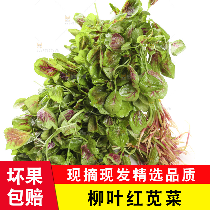 白底上的苋菜