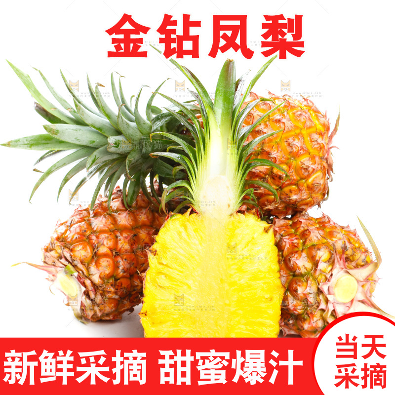 白底上的海南金钻凤梨