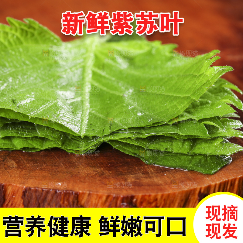 木底上的新鲜紫苏叶