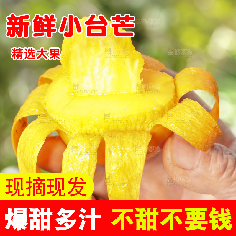 手拿剥皮的台农芒果