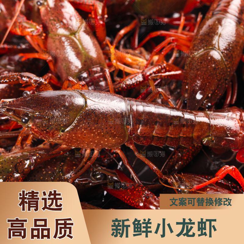 盆子里装着小龙虾