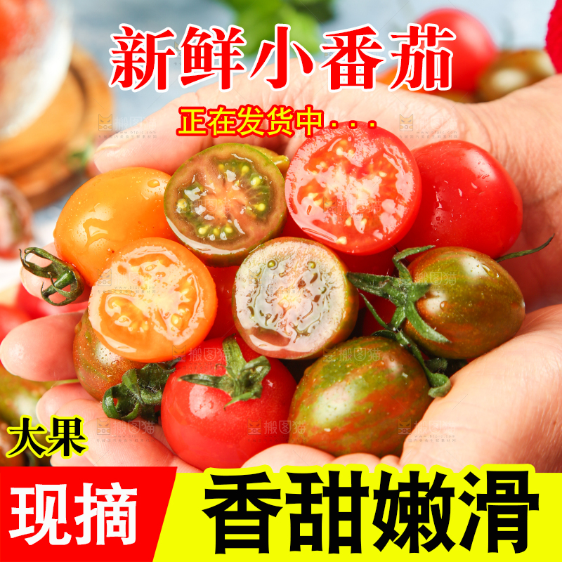 手拿三色圣女果