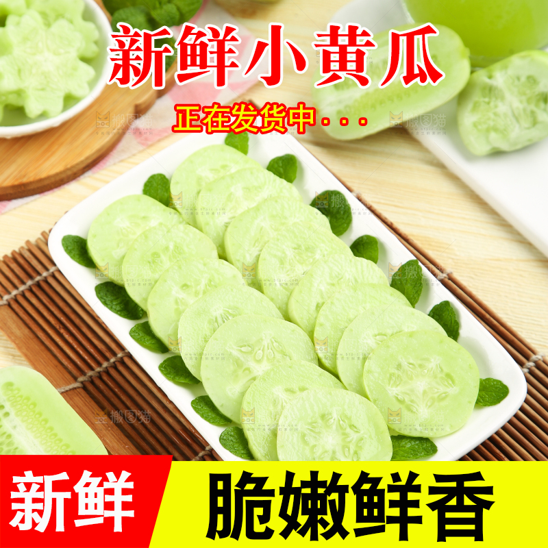 木底上的玉女黄瓜片