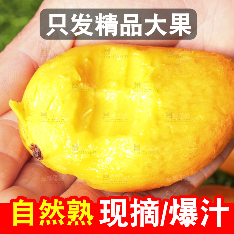 手拿小台芒