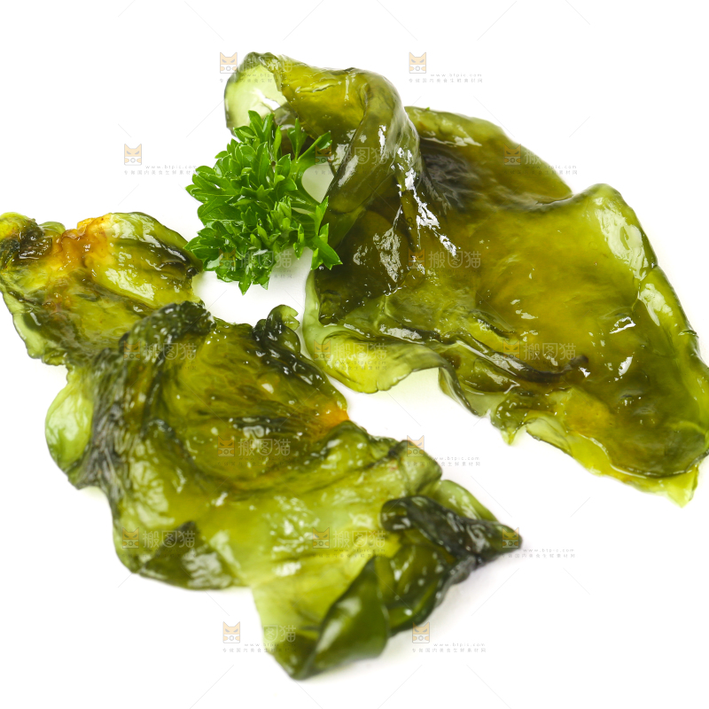 白底上的地皮菜