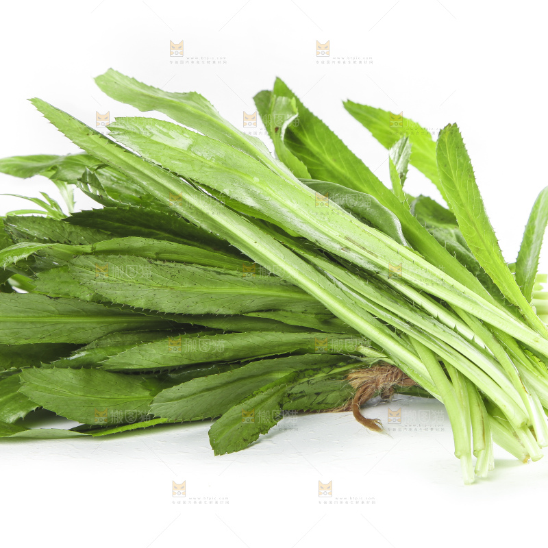白底上的云南新鲜大香菜