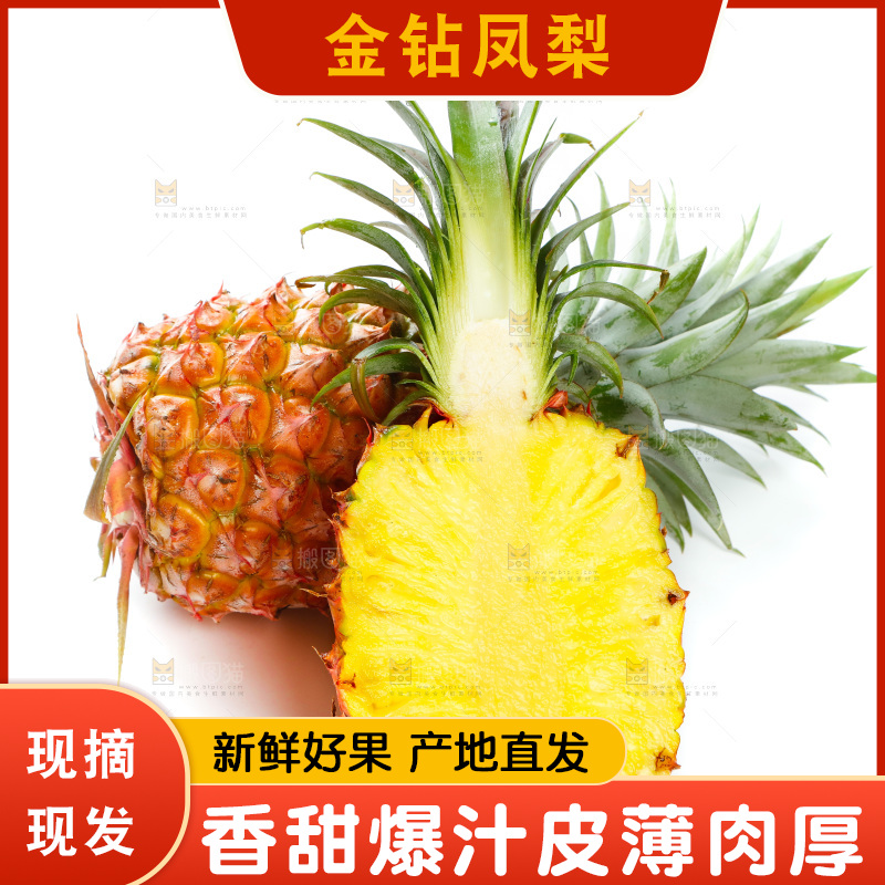 白底上的海南金钻凤梨