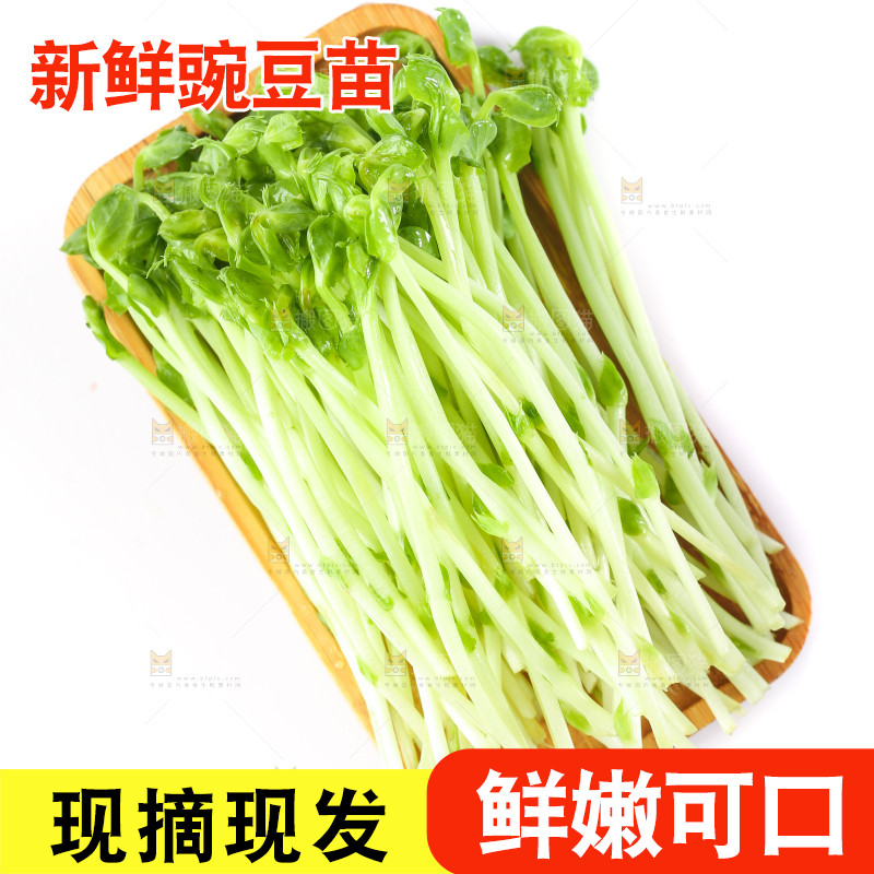 白底上放着豌豆芽菜