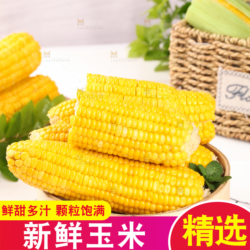 白格子底上放着黄玉米