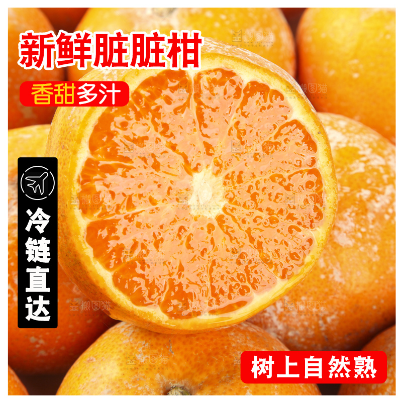 浅底上的武鸣茂谷柑