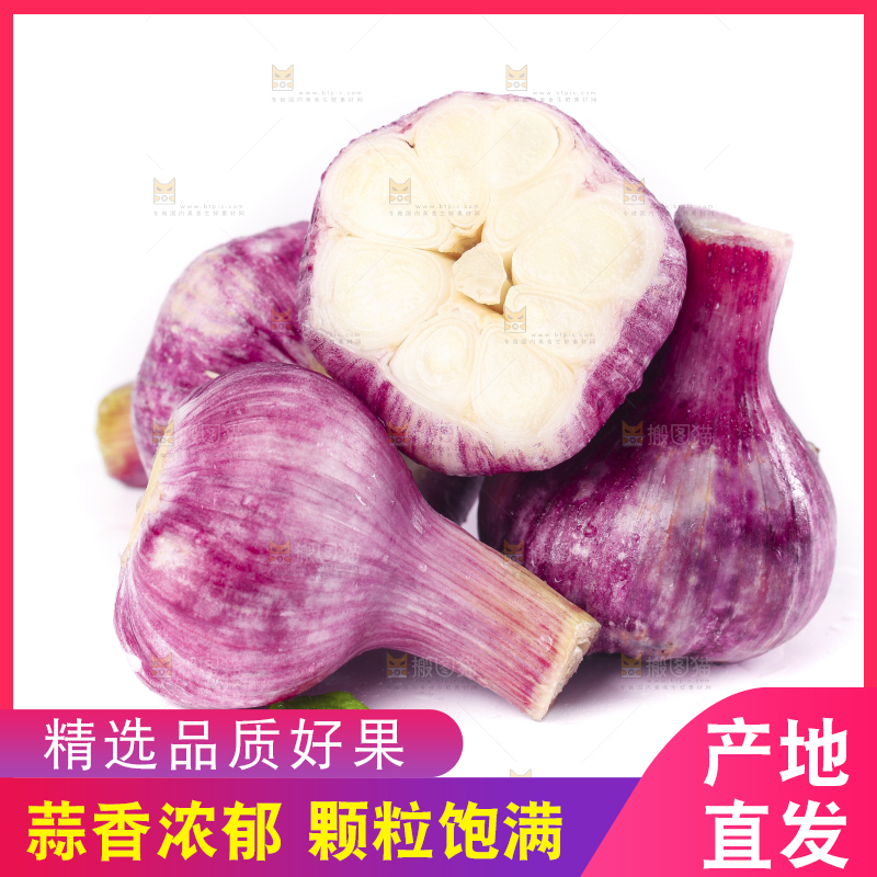 白底上放着紫皮大蒜