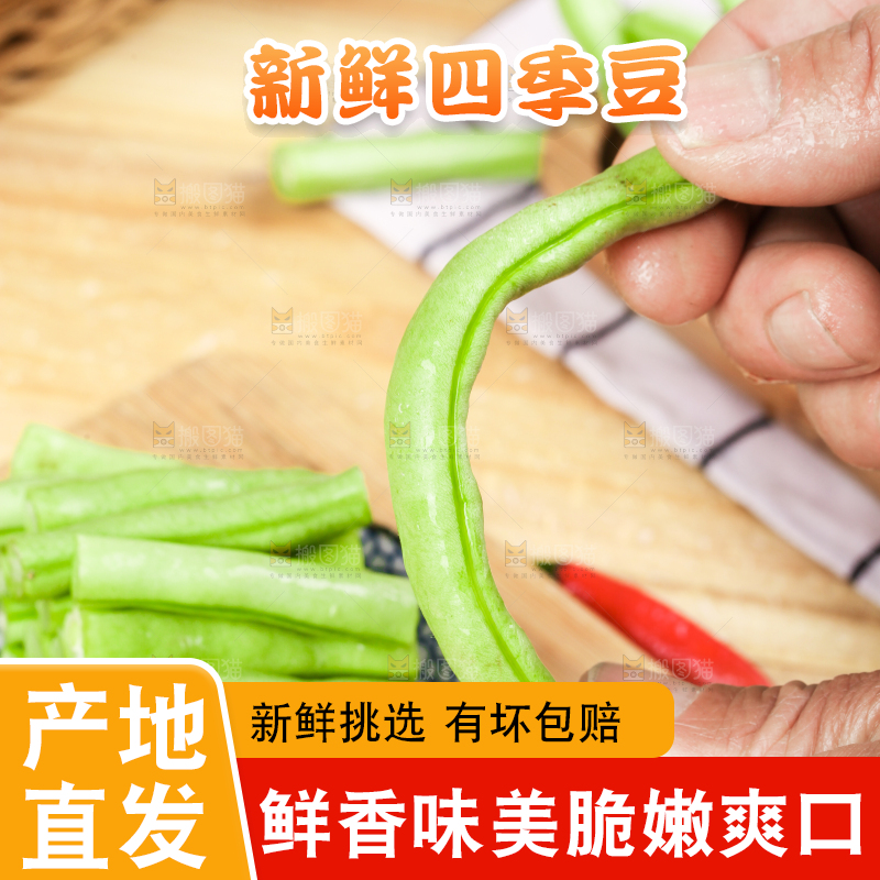 手里拿着云南新鲜四季豆