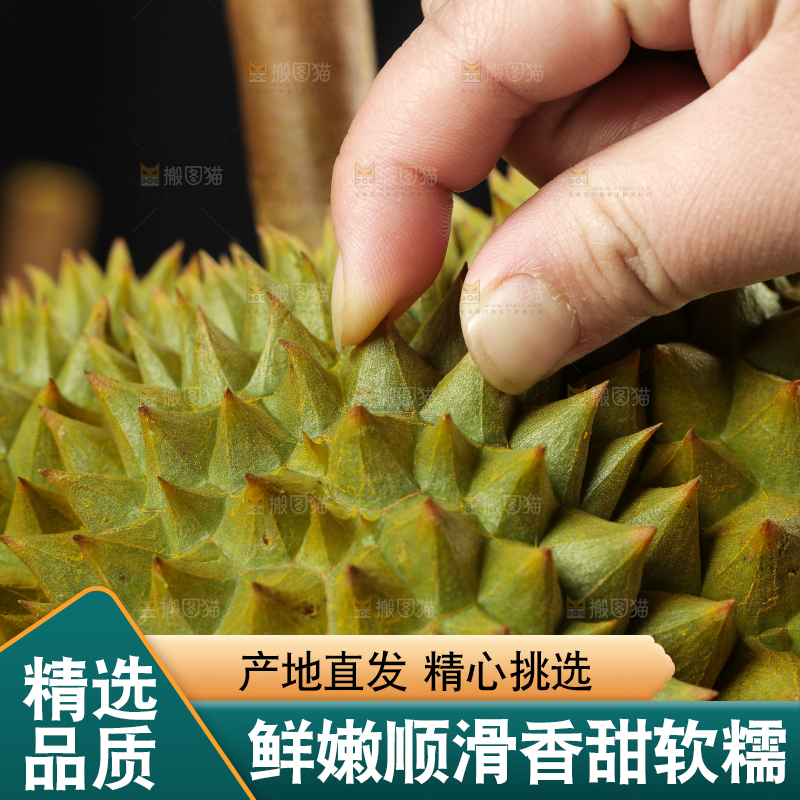 深底上的榴莲果肉