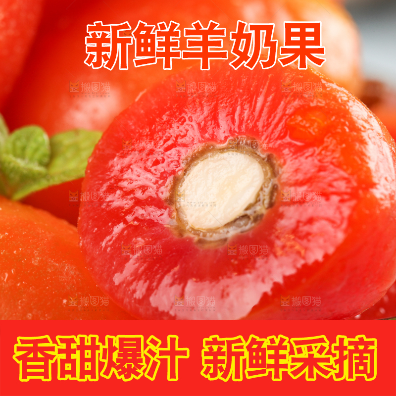 浅底上的野生羊奶果