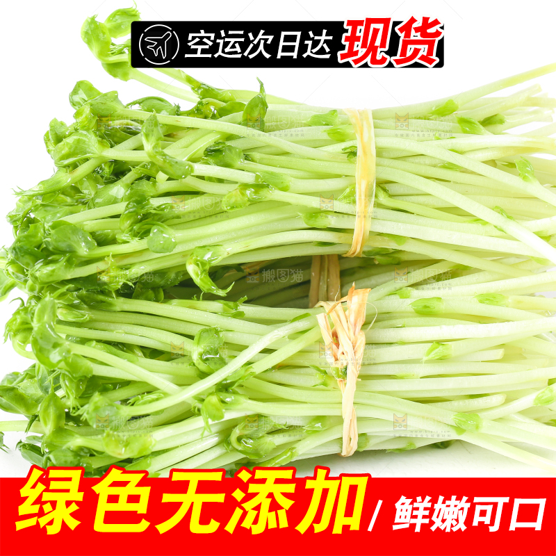 白底上放着豌豆芽菜