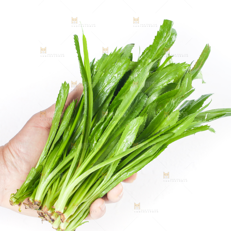 手拿云南大香菜