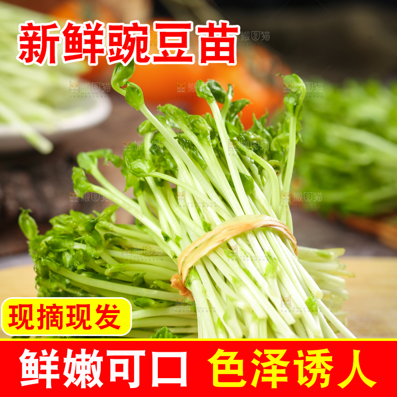 木板上放着豌豆芽