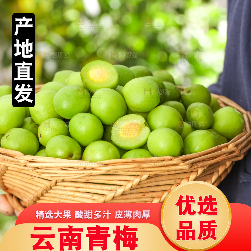 手拿一筐青梅