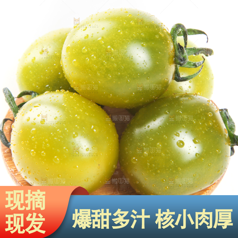 一盘新鲜的青口蜜小番茄放在白底上