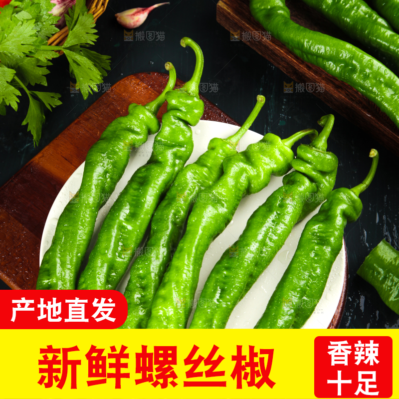 木板上放着陕西螺丝椒