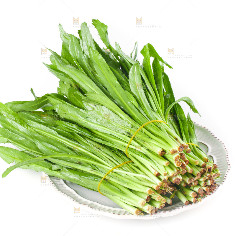 白底上放着一盘云南大香菜
