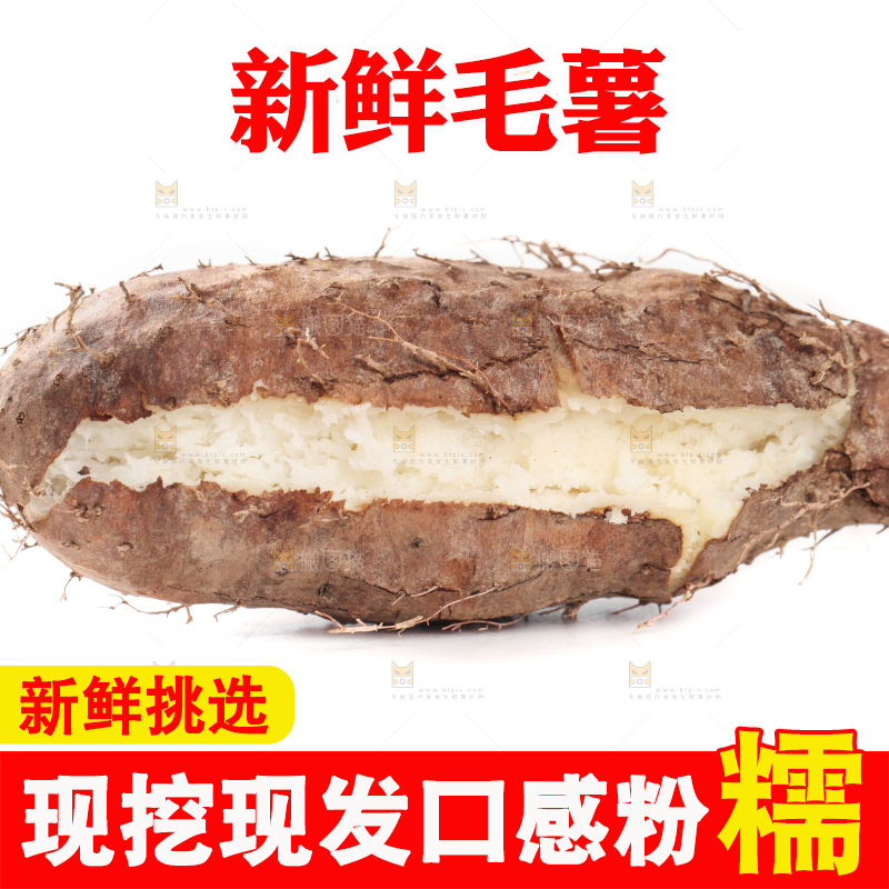 白底上的毛薯