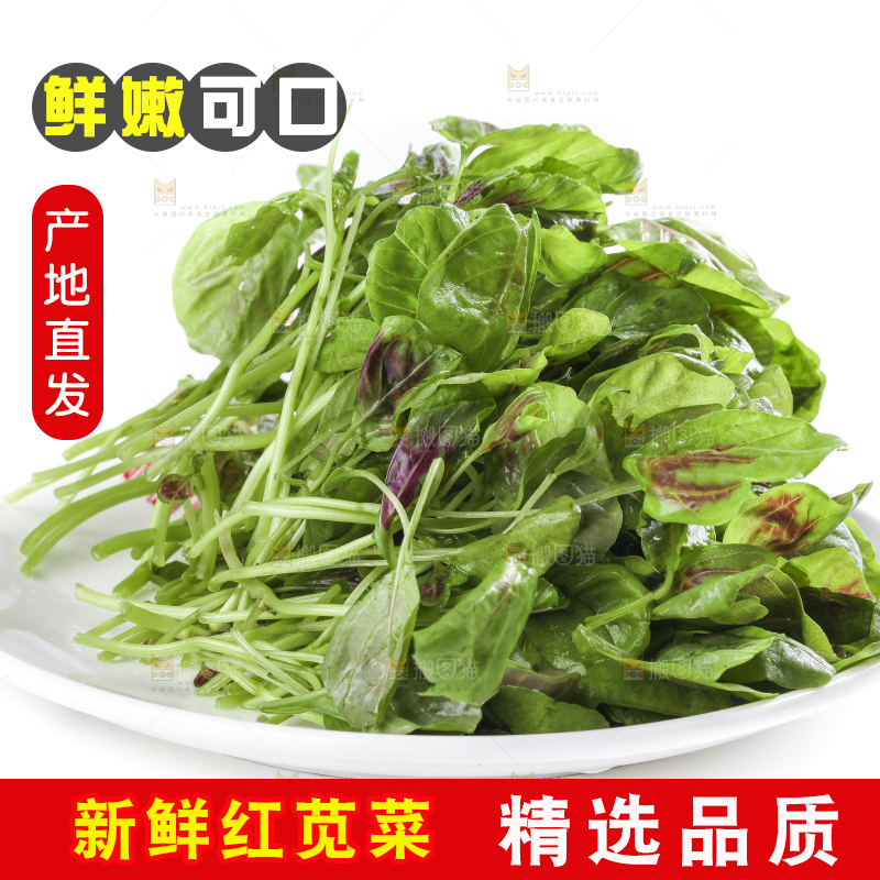 白底上放着一盘红苋菜